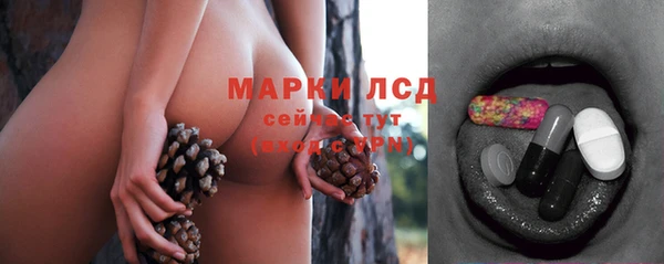 ПСИЛОЦИБИНОВЫЕ ГРИБЫ Заволжье