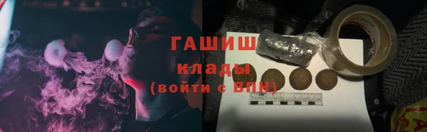 индика Зеленокумск