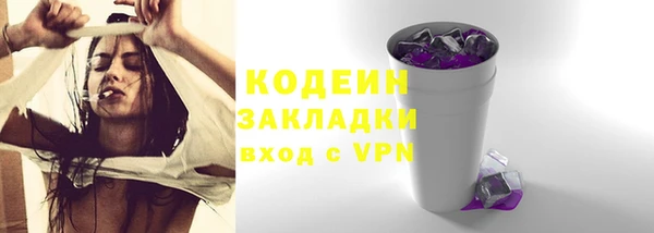 ПСИЛОЦИБИНОВЫЕ ГРИБЫ Заволжье