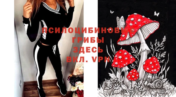 СК Дегтярск