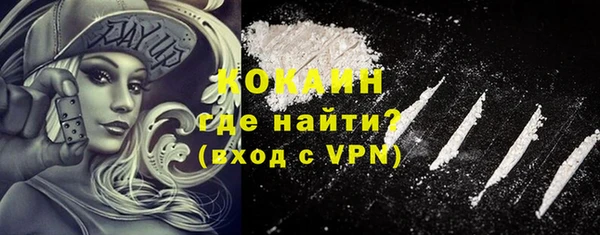 крисы Заводоуковск