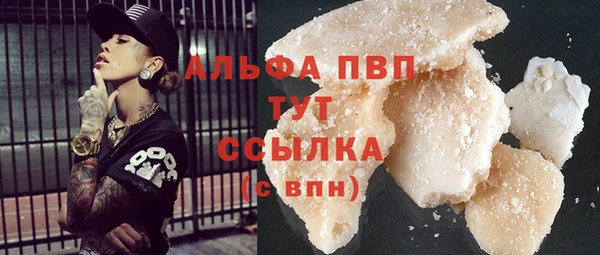 ПСИЛОЦИБИНОВЫЕ ГРИБЫ Заволжье