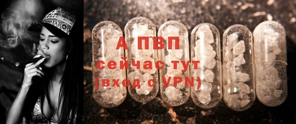 крисы Заводоуковск