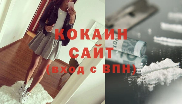индика Зеленокумск
