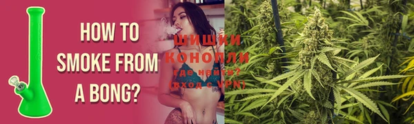 ПСИЛОЦИБИНОВЫЕ ГРИБЫ Заволжье