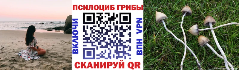 Галлюциногенные грибы прущие грибы  shop официальный сайт  Заволжск 