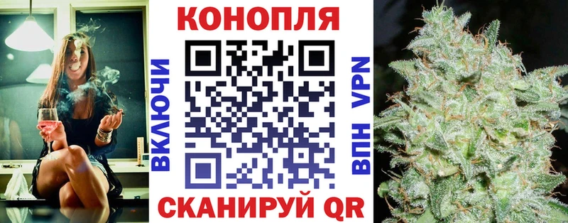 где купить   Заволжск  Каннабис конопля 